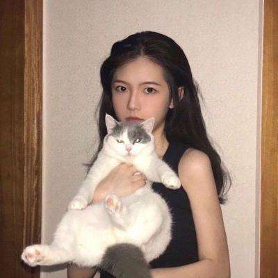 拳皇d无限金币版下载